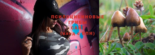 трава Армянск