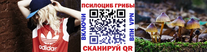 Псилоцибиновые грибы мухоморы  что такое   hydra   Любань 